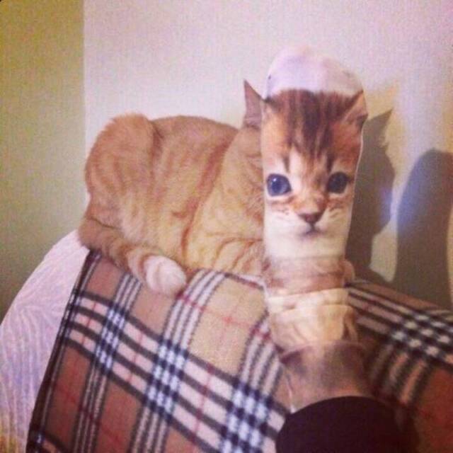 Bildschirmarbeiter - Picdump 20.12.2019