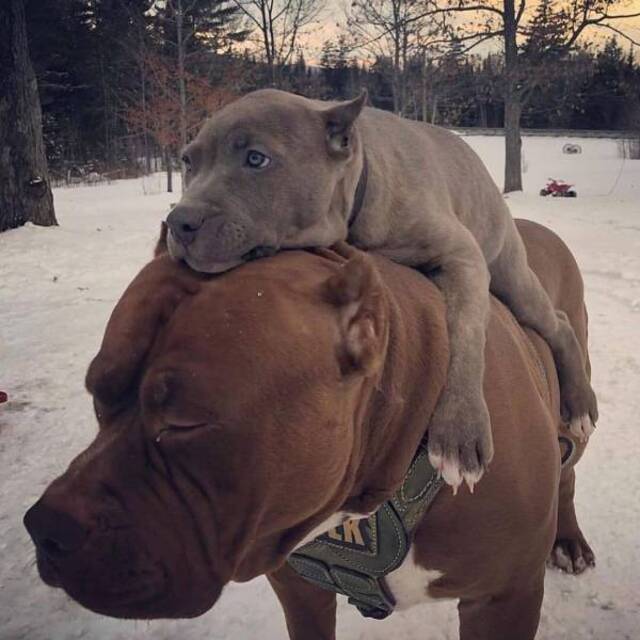 Bildschirmarbeiter - Picdump 20.12.2019