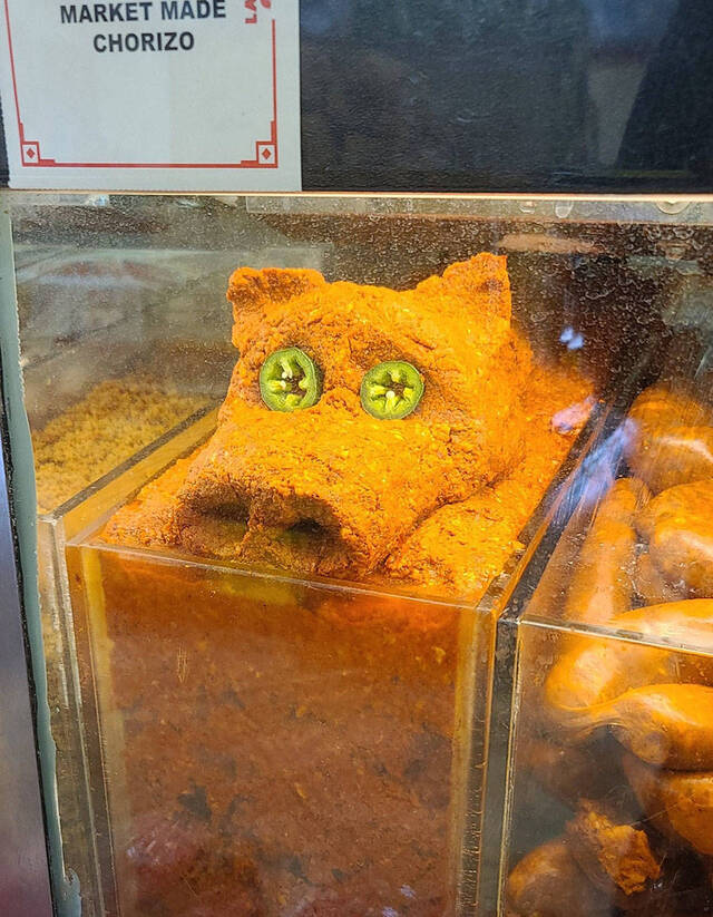 Bildschirmarbeiter - Picdump KW 42/2025