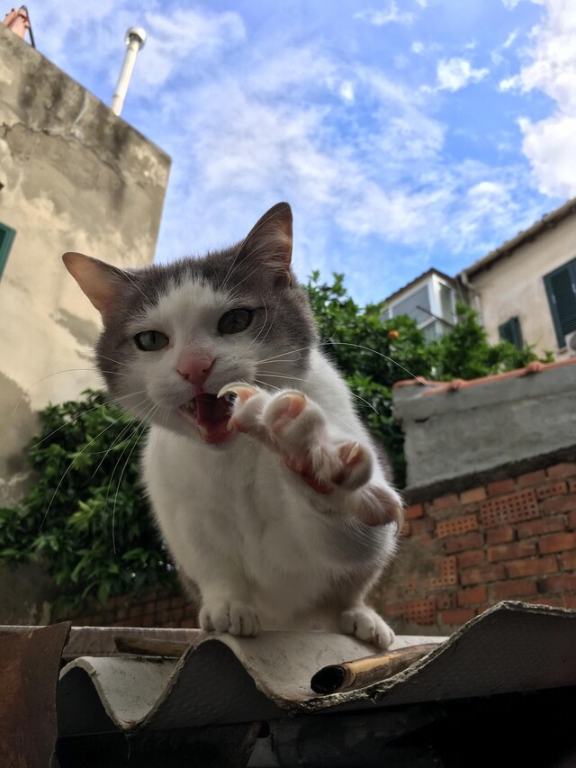 Bildschirmarbeiter - Picdump KW 42/2025