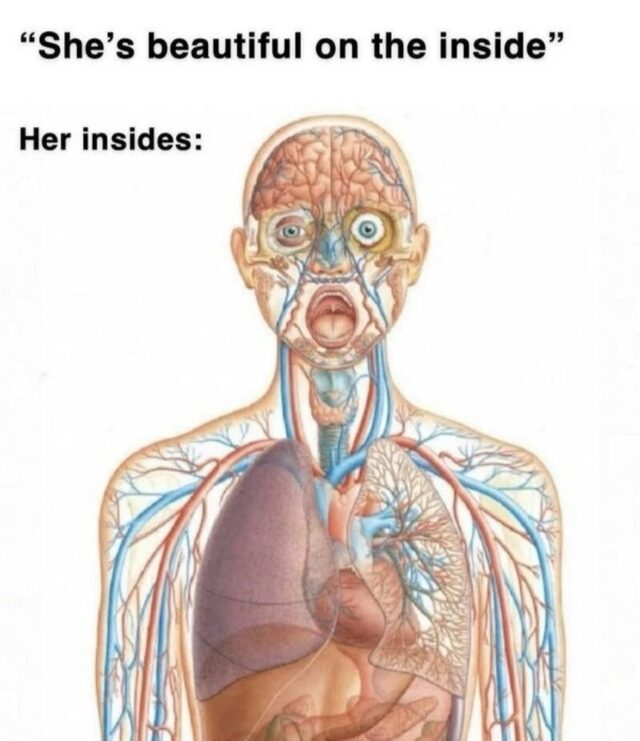 Bildschirmarbeiter - Picdump KW 42/2025