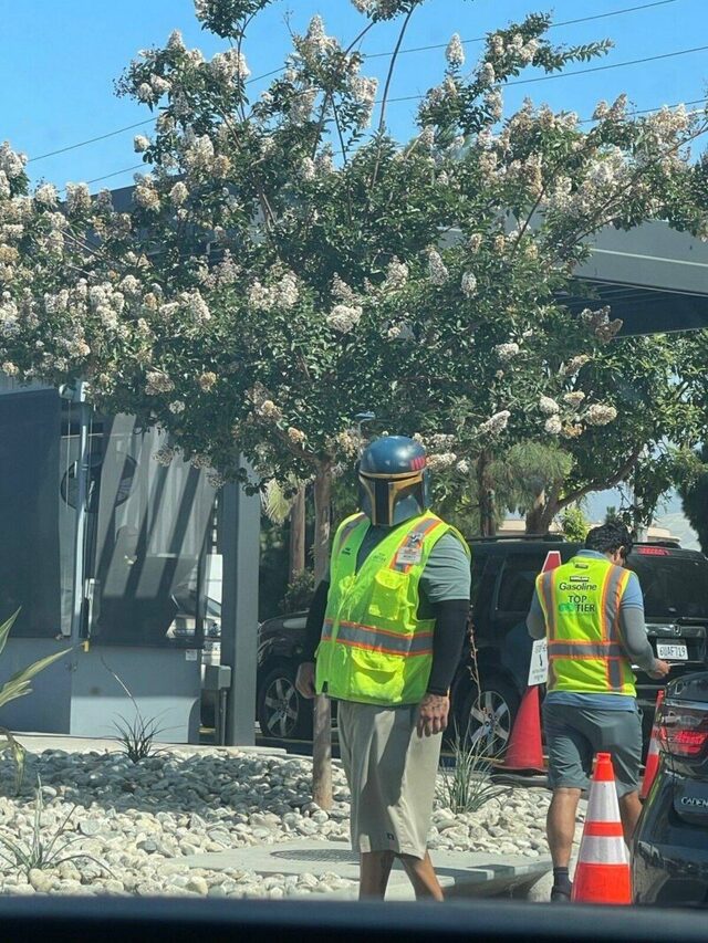 Bildschirmarbeiter - Picdump KW 42/2025