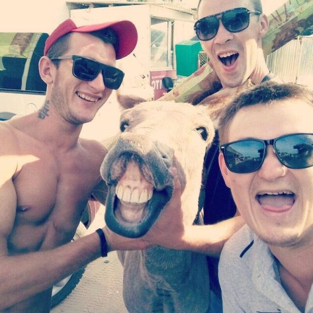 Bildschirmarbeiter - Picdump KW 42/2025