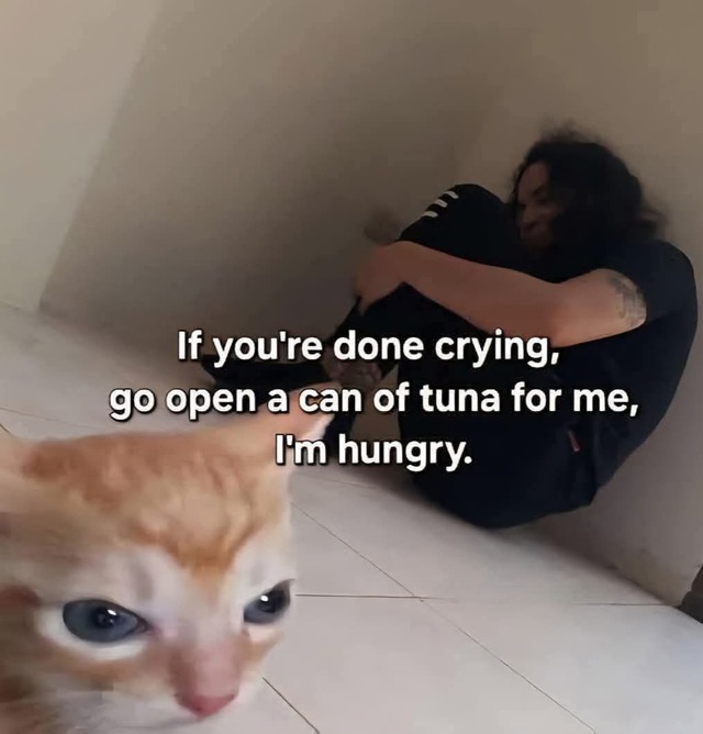 Bildschirmarbeiter - Picdump KW 42/2025