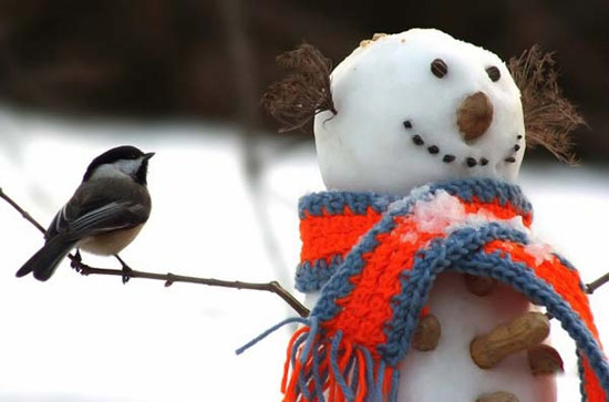 lustige Schneemänner - Bilder auf bildschirmarbeiter.com