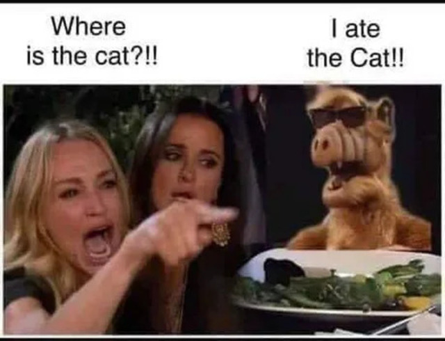Stop Yelling At The Cat! - Memes