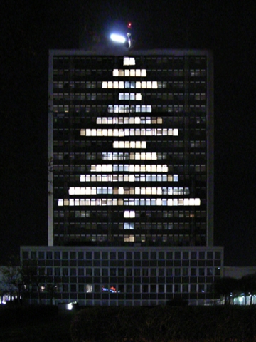 Weihnachtsbäume 2007