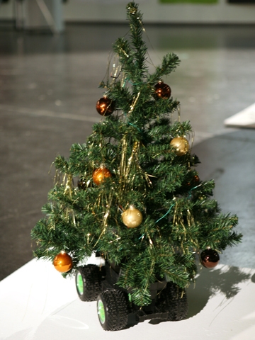 Weihnachtsbäume 2007