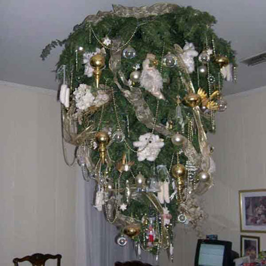 mein Weihnachtsbaum