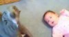 Hund vs. Baby