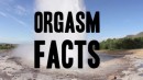 8 Fakten über Orgasmen