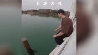 Videos der Woche