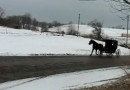 Amish Skiing