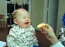 Babies essen Saures - Compilation