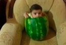 Baby in der Wassermelone