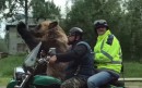 Bär fährt Motorrad und winkt