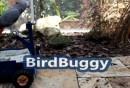 Bird Buggy