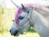 Das letzte Einhorn?