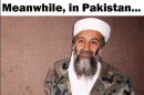 Deswegen wurde Osama Bin Laden gefasst