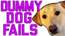 Dog Fails Compilation