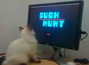 Duck Hunt