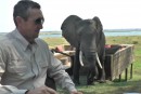 Elefant, der Picknick - Crasher