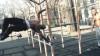 Epic Street Workout