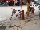 Fahrrad bewachen