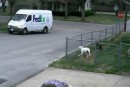 FedEx - Lieferung ist da