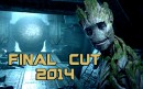 Final Cut 2014 - A Movie Mashup