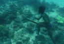 Fischen mal anders