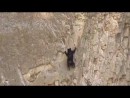Freeclimbing - Bär