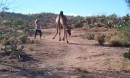 Girl vs. Camel