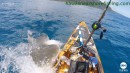 Haiangriff beim Fischen