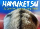 Hamuketsu: Hamster Butts