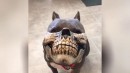 Hund mit Maske