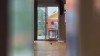 Hundeklappe - Compilation