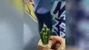 Kaktus - Prank