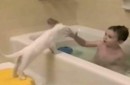 Mit der Katze baden
