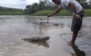 Krokodil füttern