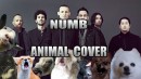 Linkin Park - Numb (Animal Cover)