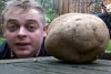 Look at my Potato