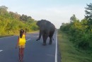 Mädchen vs. Elefant