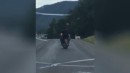 Mopedfahrer vs. Kuh