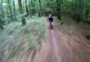 Mountainbiker vs. Baum
