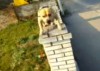 Parkour Hund #2