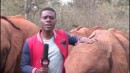 Reporter und die Elefanten