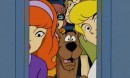 Scoobystep