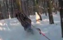 Snowboarden im Wald