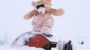 Snowboarding Bear